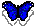 Blue Butterfly Icon