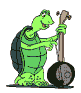 Musical Turtle