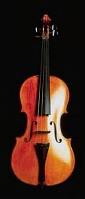 Vertical Violin
