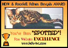 You've been spotted for web site excellence